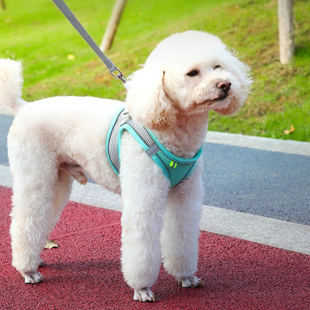 Reflective Breathable Pet Harness & Leash Set