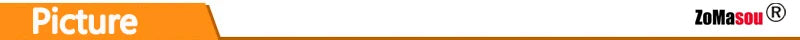 Cat Sit