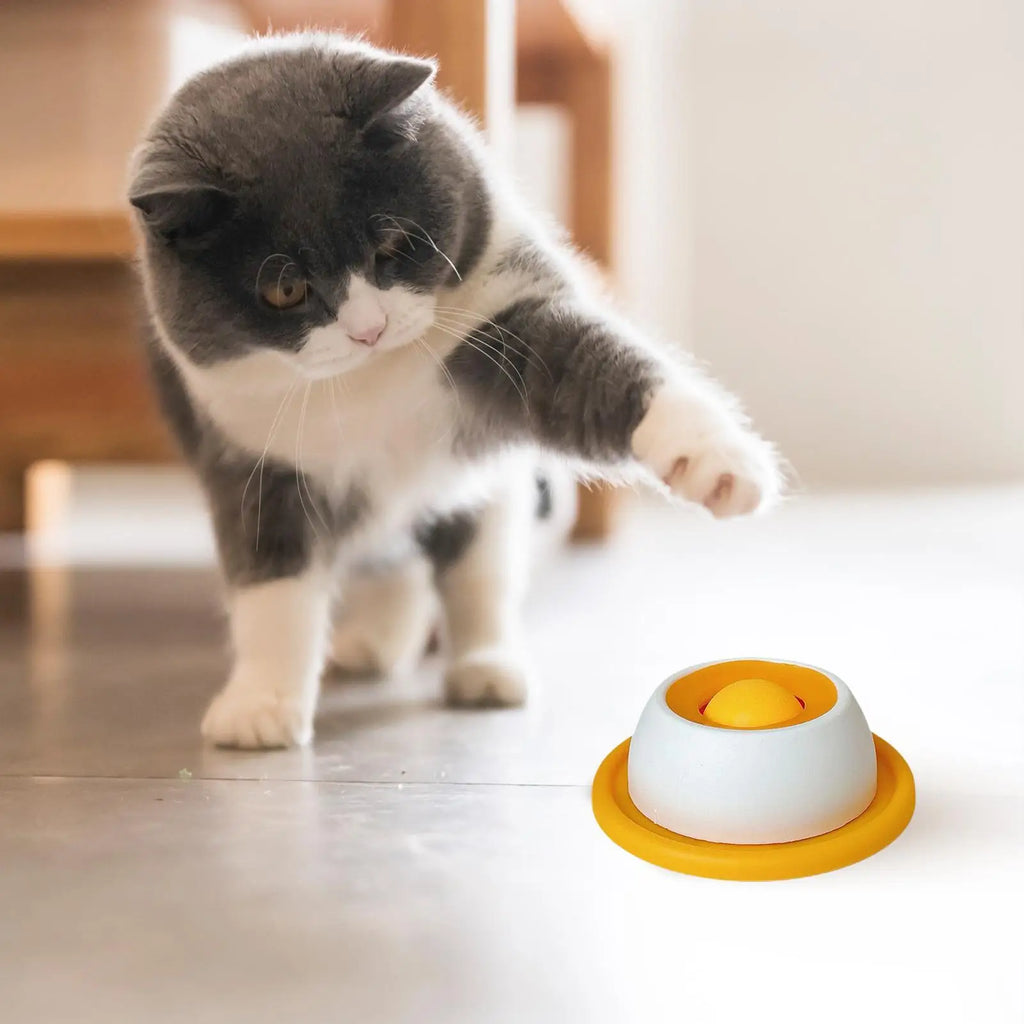 Slow Feeder Puzzle Bowl for Dogs & Cats
