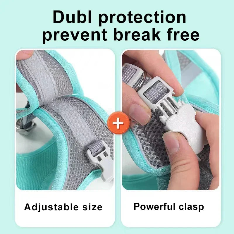 Small Dog Harness & Leash Set