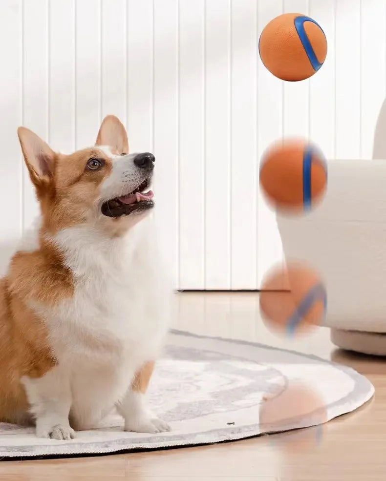 Solid Rubber Dog Fetch Ball