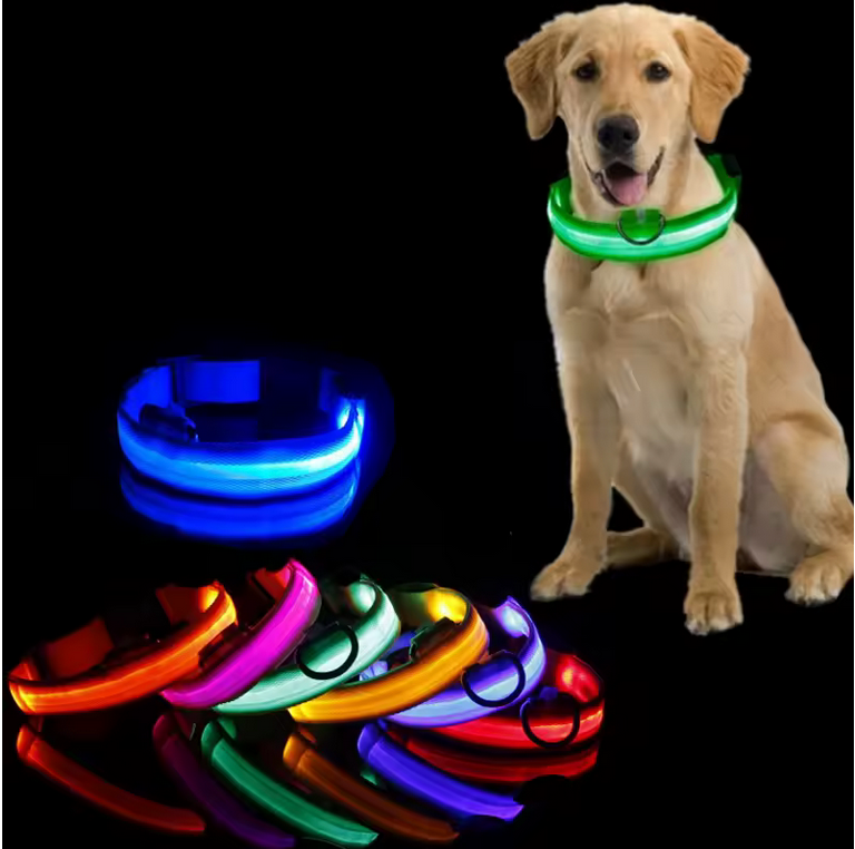 LED Light-Up Safety Dog Collar
