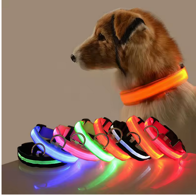LED Light-Up Safety Dog Collar