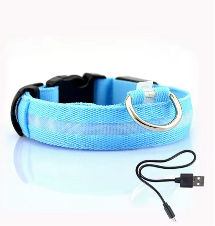 LED Light-Up Safety Dog Collar