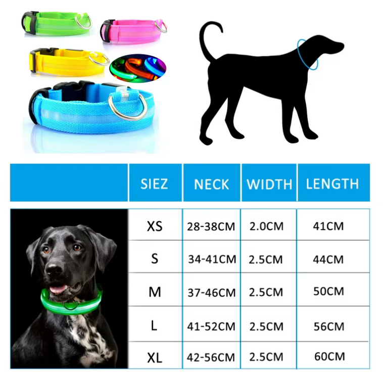 LED Light-Up Safety Dog Collar