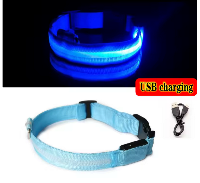 LED Light-Up Safety Dog Collar