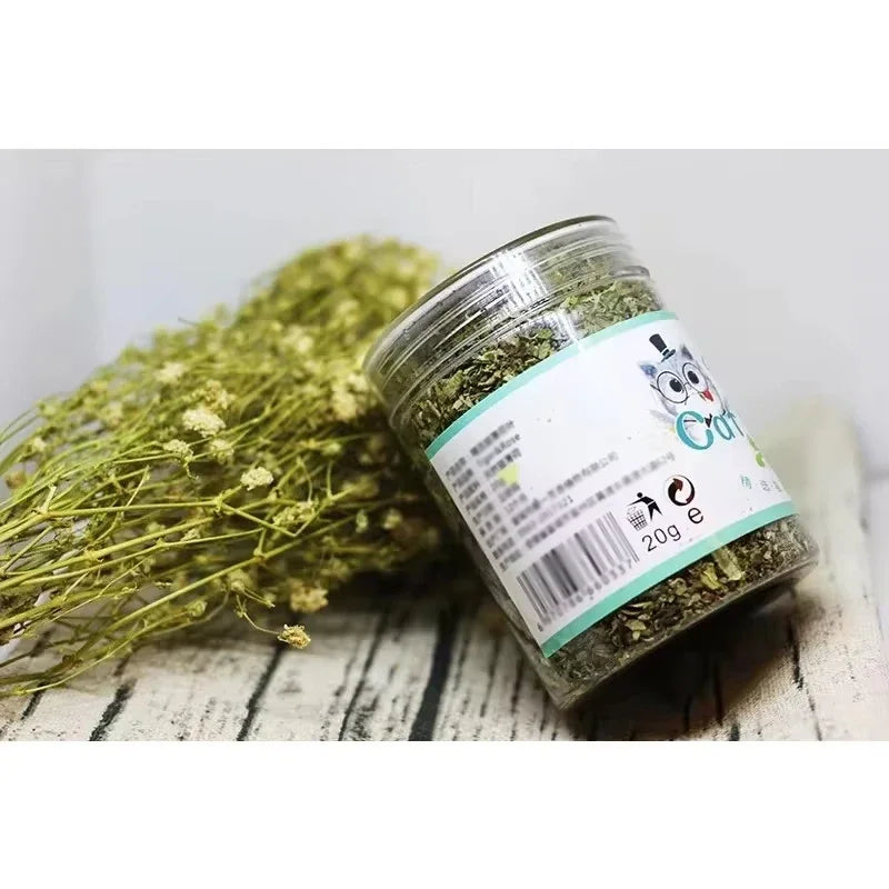 Organic Catnip in Toys