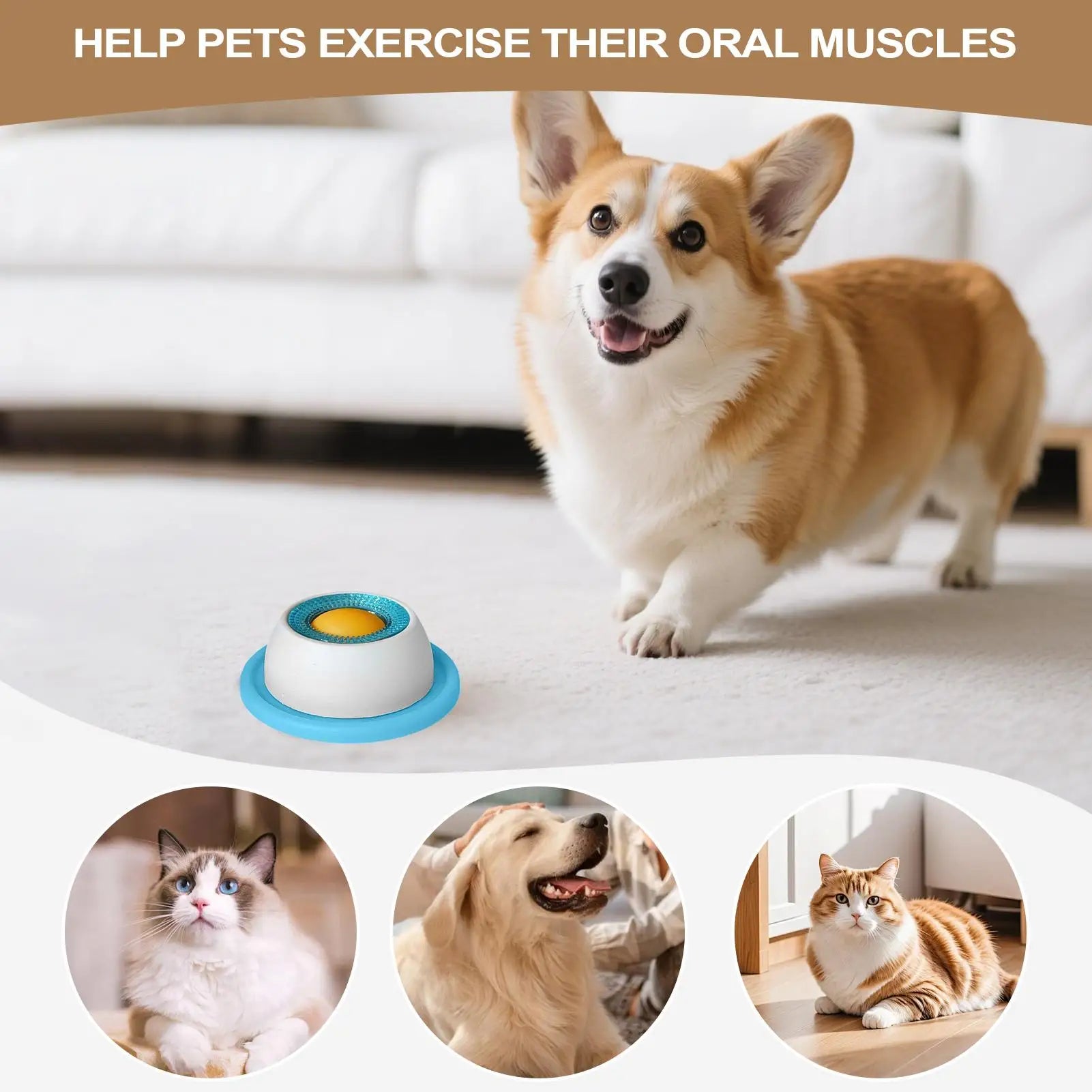 Slow Feeder Puzzle Bowl for Dogs & Cats