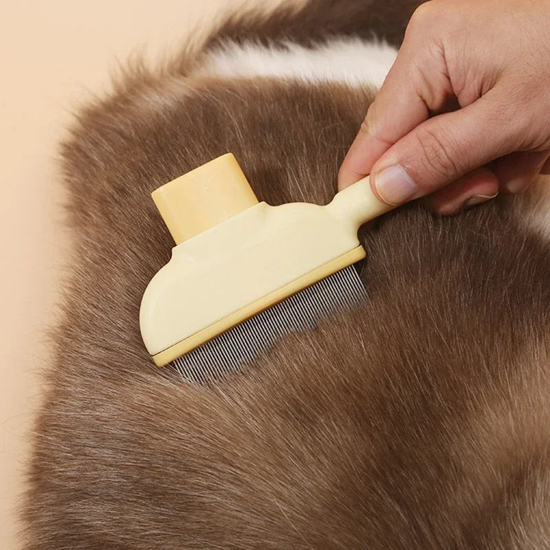 Cat Hair Brush