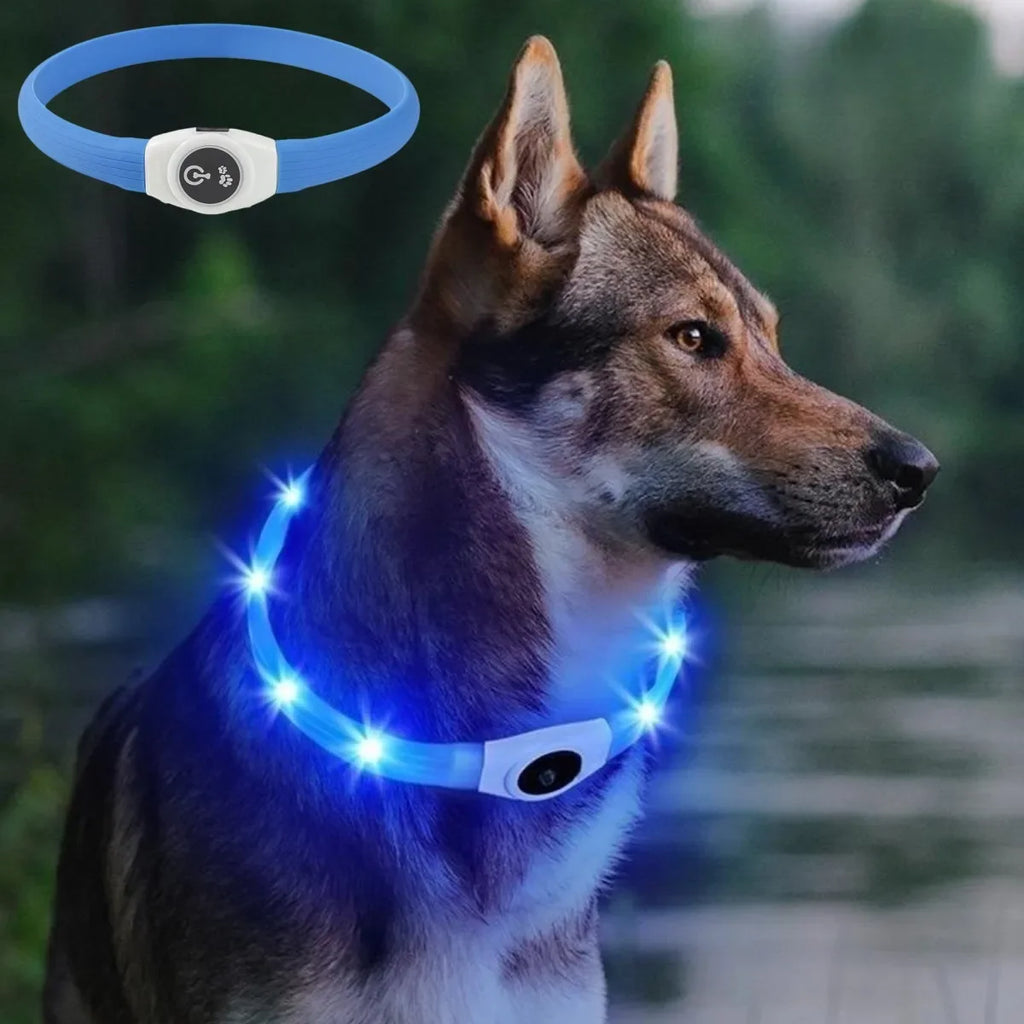 New Led Dog Collar