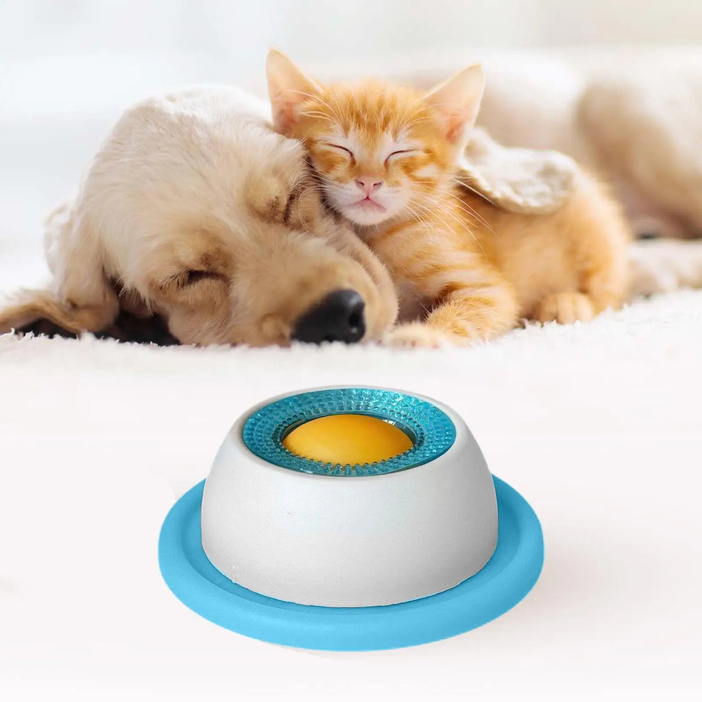 Slow Feeder Puzzle Bowl for Dogs & Cats