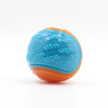 Squeaky Dog Ball