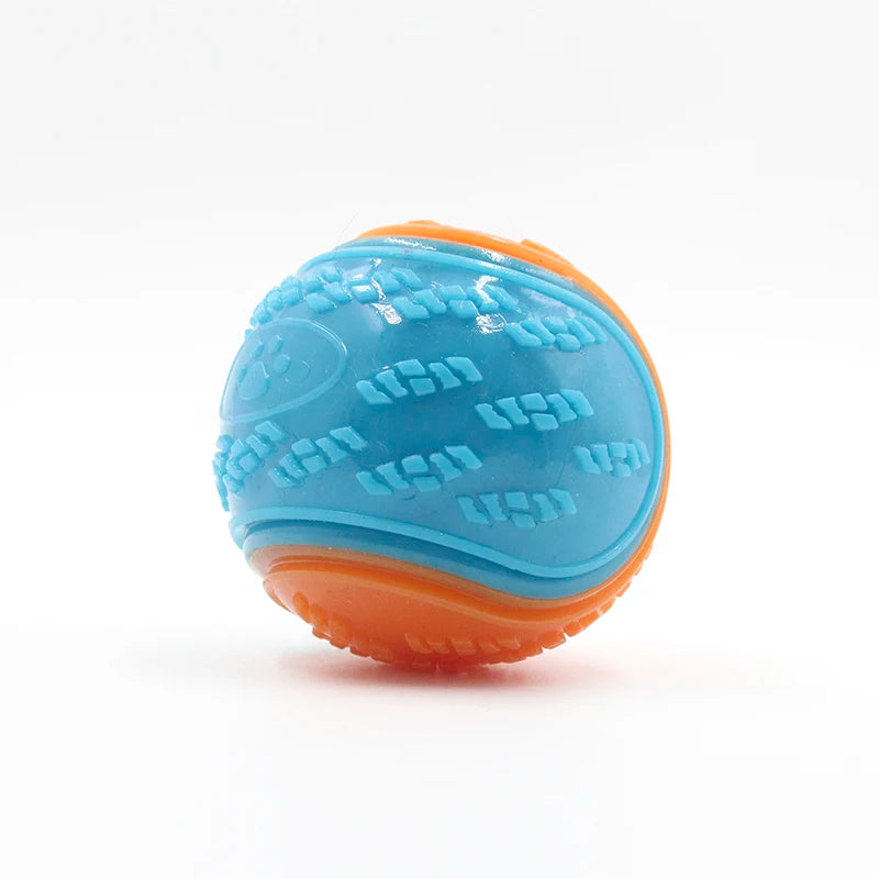 Squeaky Dog Ball