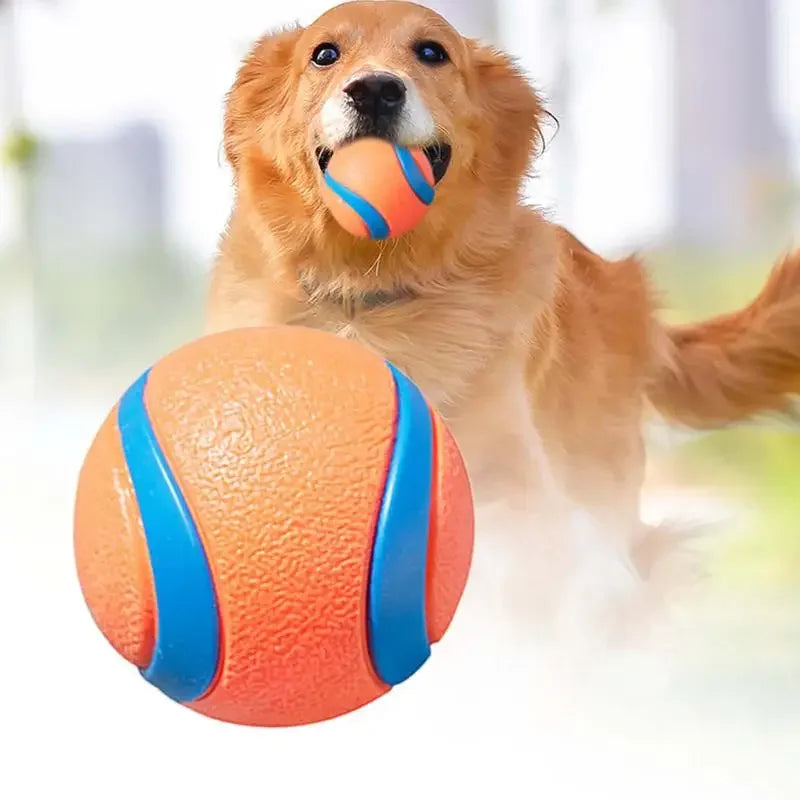 Solid Rubber Dog Fetch Ball