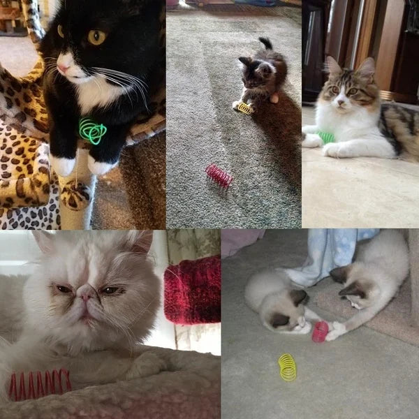 Kitten Toys