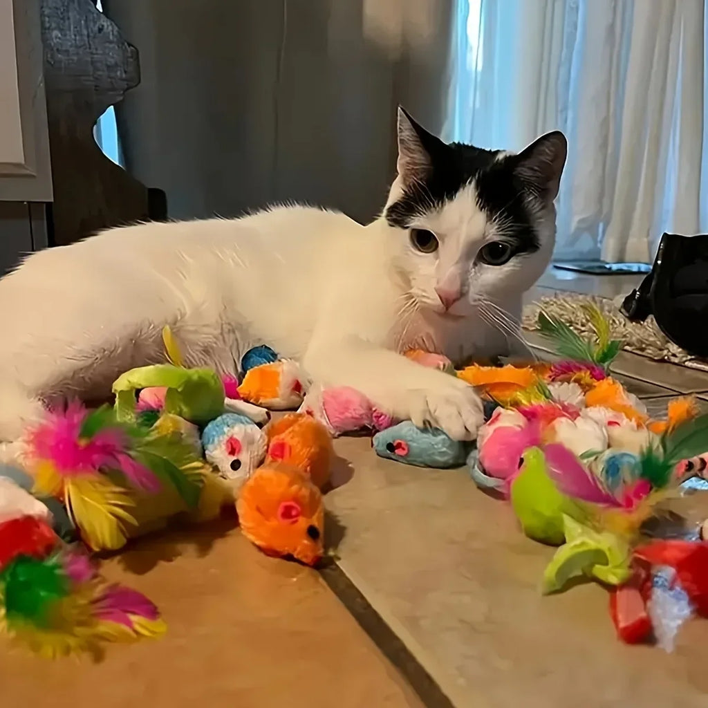Mixed Cat Toy Bundle Pack