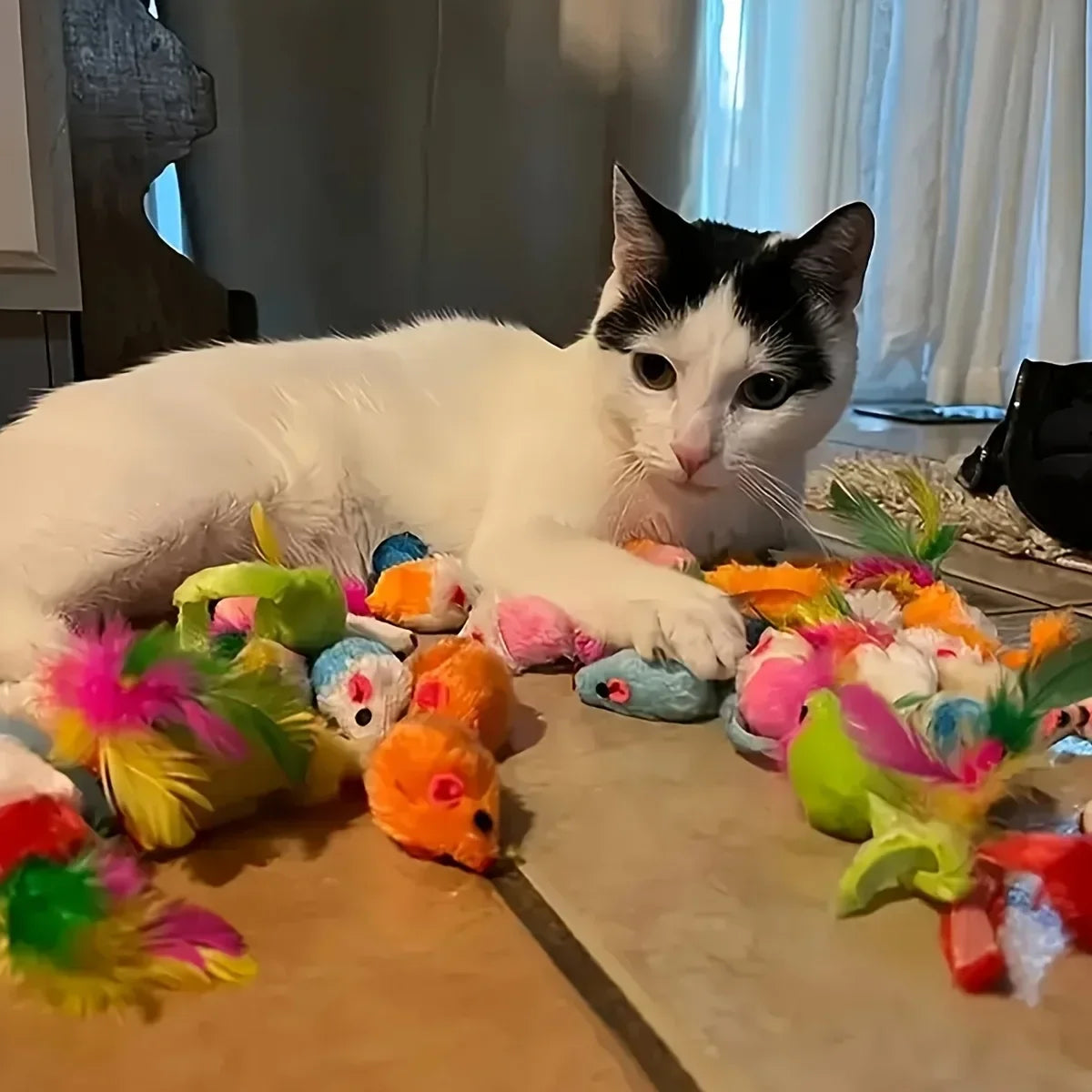 Mixed Cat Toy Bundle Pack